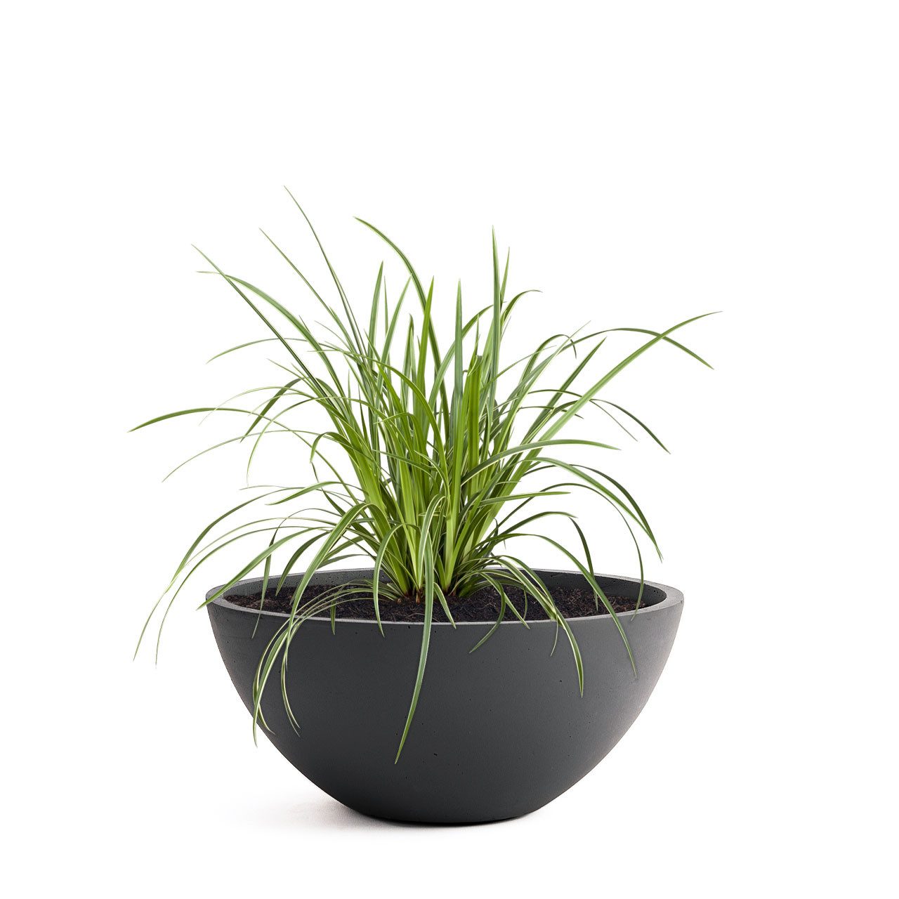 Pflanzwerk® Pflanzschale Pflanzkübel BOWL Frostbeständige Premium Blumenschale mit Lotus-Effekt, Fiberglas - Handgefertigt - Rund - Frostbeständig