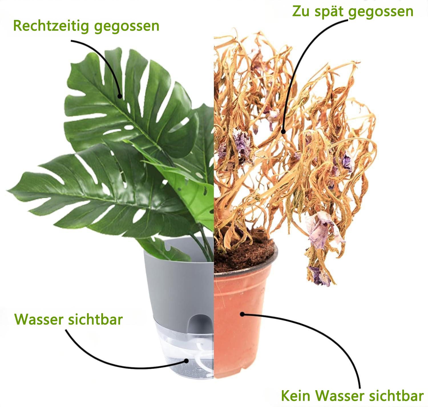 Refined Living Kräutertopf mit Selbstbewässerung, 3er Set, Blumentöpfe, mit Wasserspeicher (Kräutertopf für Küche, Selbstbewässernde Blumentöpfe, Kräuter Pflanz – Bild 5 von 5