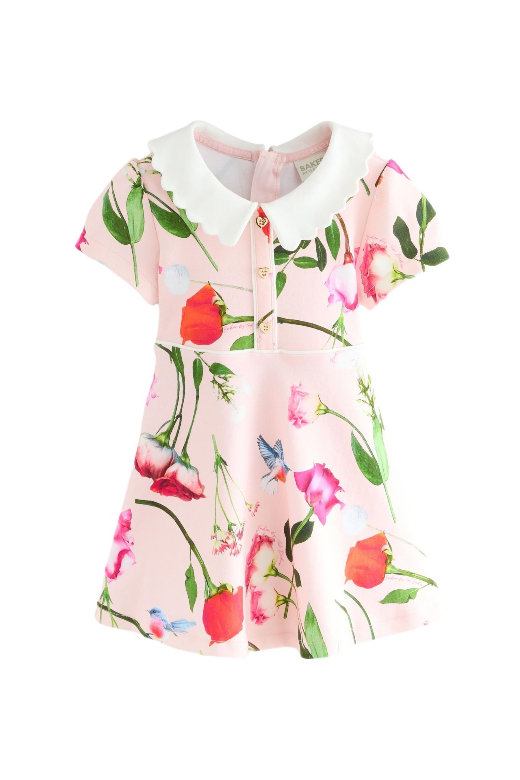 Baker by Ted Baker Sommerkleid Baker by Ted Baker Ponte-Kleid mit Schleifenkragen (1-tlg)