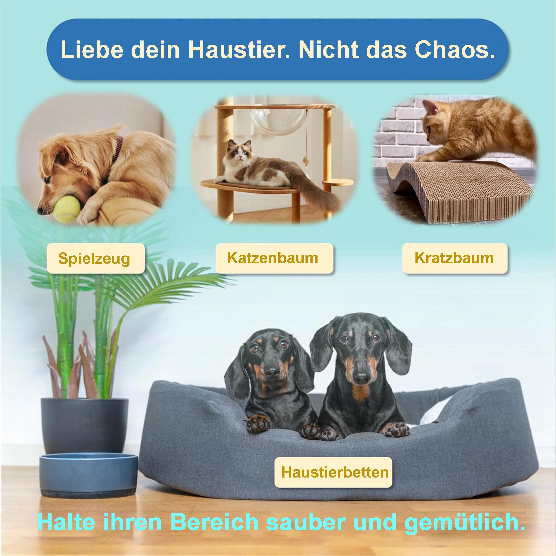Mutig Fellpflegehandschuh 6 Stück Pet Hair Remover Katzenhandschuh, Antistatische Handschuhe, für Katzen und Hunde, (Doppelseitige Fellhandschuhe, Katze Pet Grooming Gloves), für Waschen Enthaaren, Reinigung von Teppichen Sofas