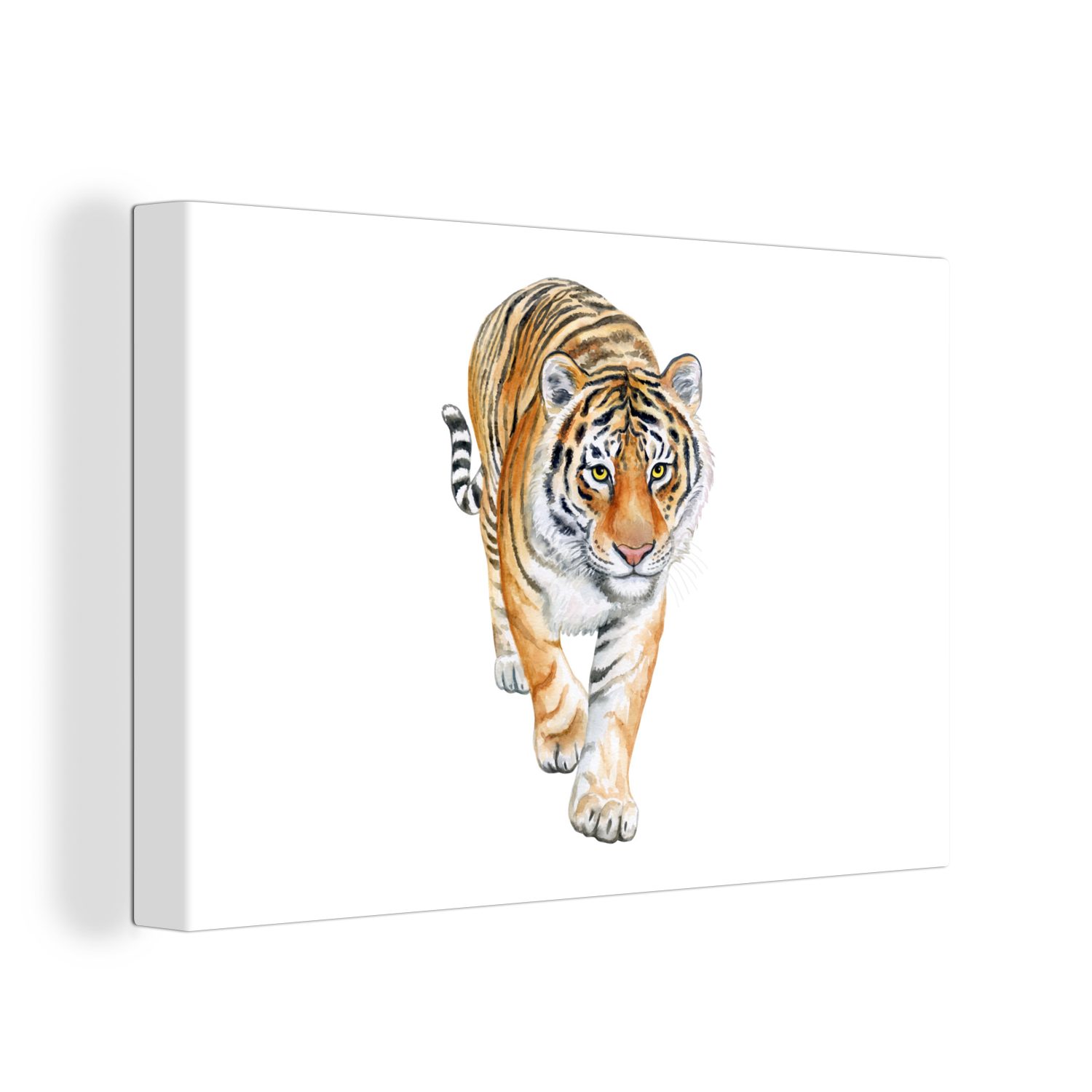 OneMillionCanvasses® Leinwandbild Tiger Wandbild Aufhängefertig, (1 Wanddeko, Leinwandbilder, 30x20 - Körper - cm Weiß, St)