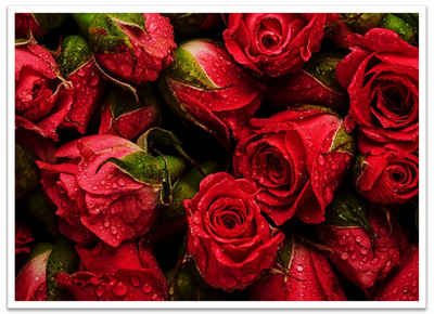 wandmotiv24 Poster rote Rosen, Blumen, Natur (1 St), Wandbild, Wanddeko, Poster in versch. Größen