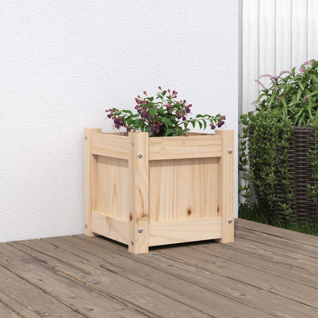 vidaXL Blumentopf Pflanzkübel 31x31x31 cm Massivholz Kiefer (1 St)