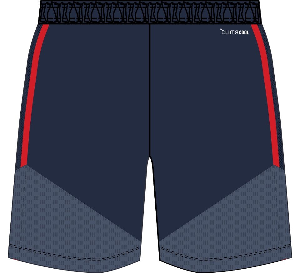 adidas Sportswear Trainingsshorts FCB TR SHOY