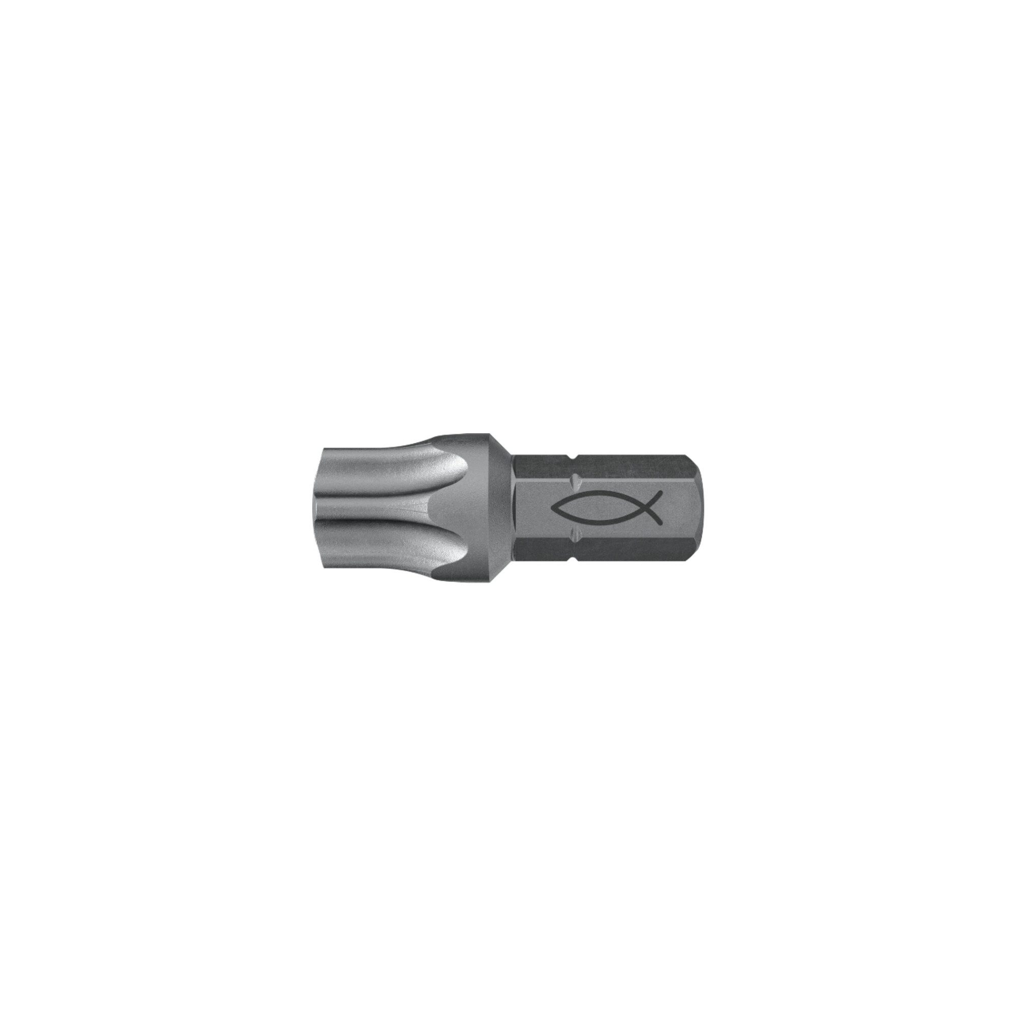 fischer Torx-Bit fischer Profi Bit FPB T 50