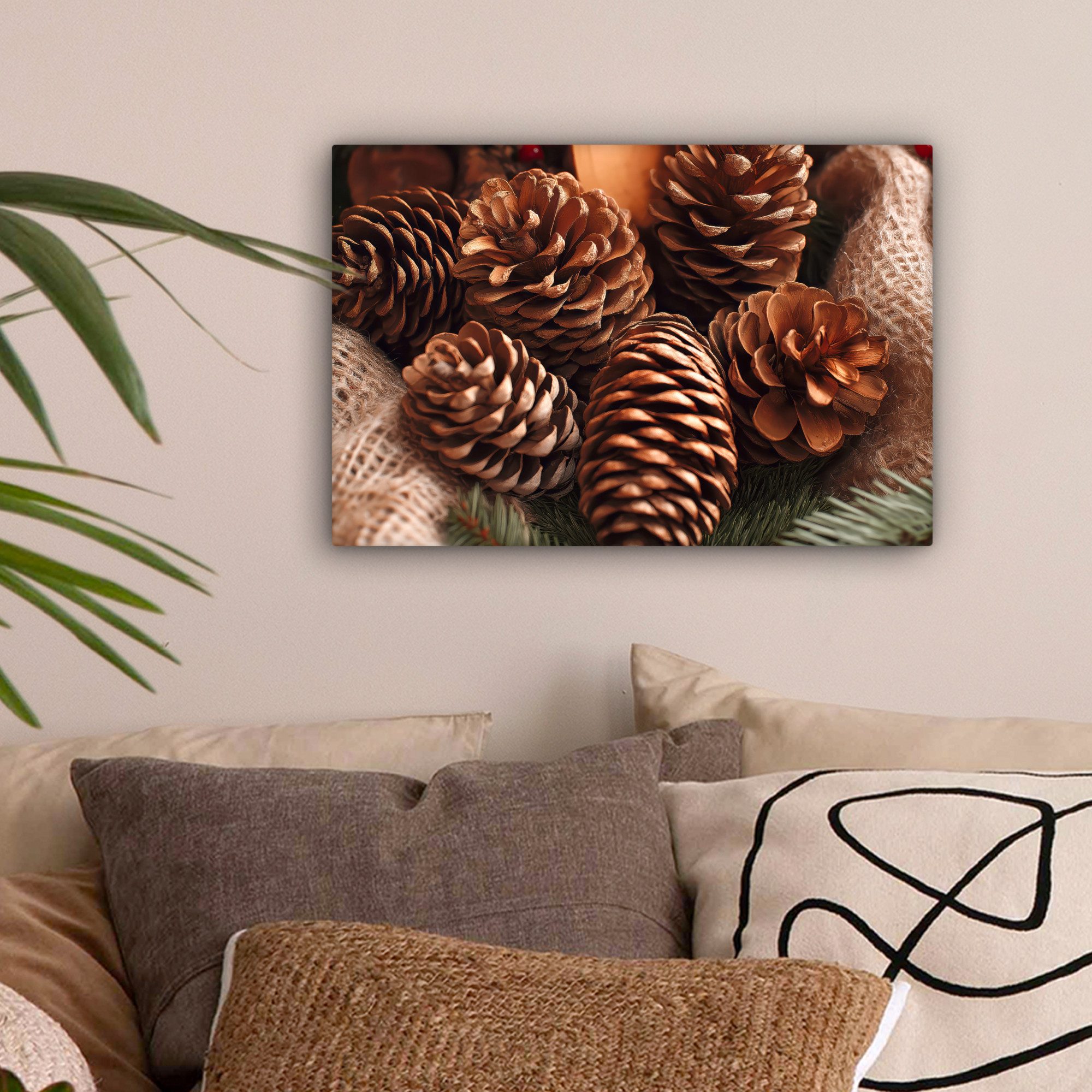 OneMillionCanvasses® Leinwandbild Tannenzapfen - Baum - Winter - Natur - Br günstig online kaufen