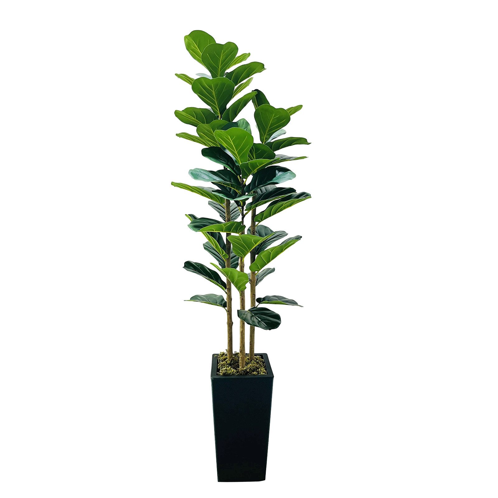 Kunstpflanze Künstlicher Geigenblatt Feigenbaum mit Pflanzenbaum für Innenbüro, GarveeMore