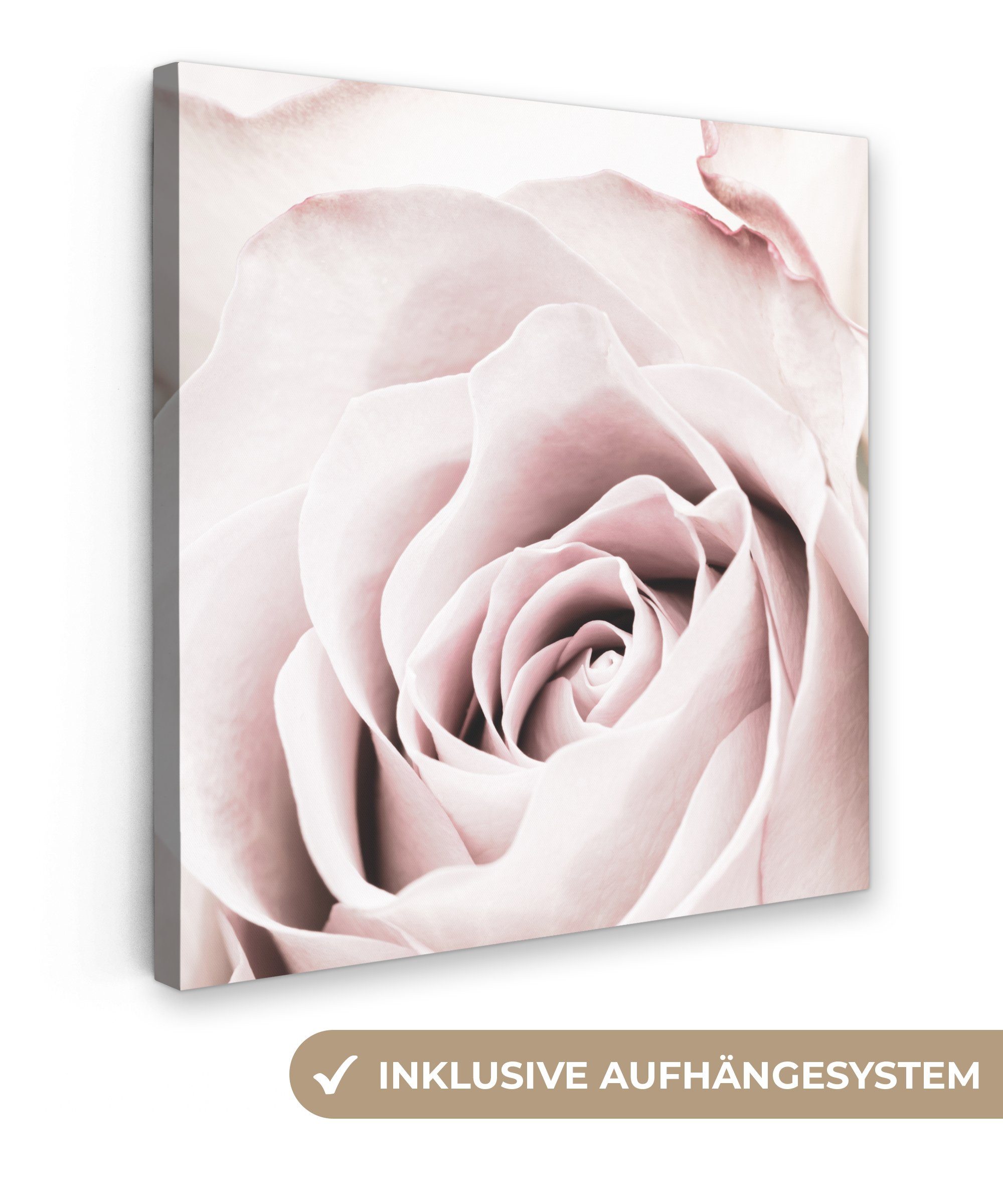 OneMillionCanvasses® Leinwandbild Blumen - Rose - günstig online kaufen