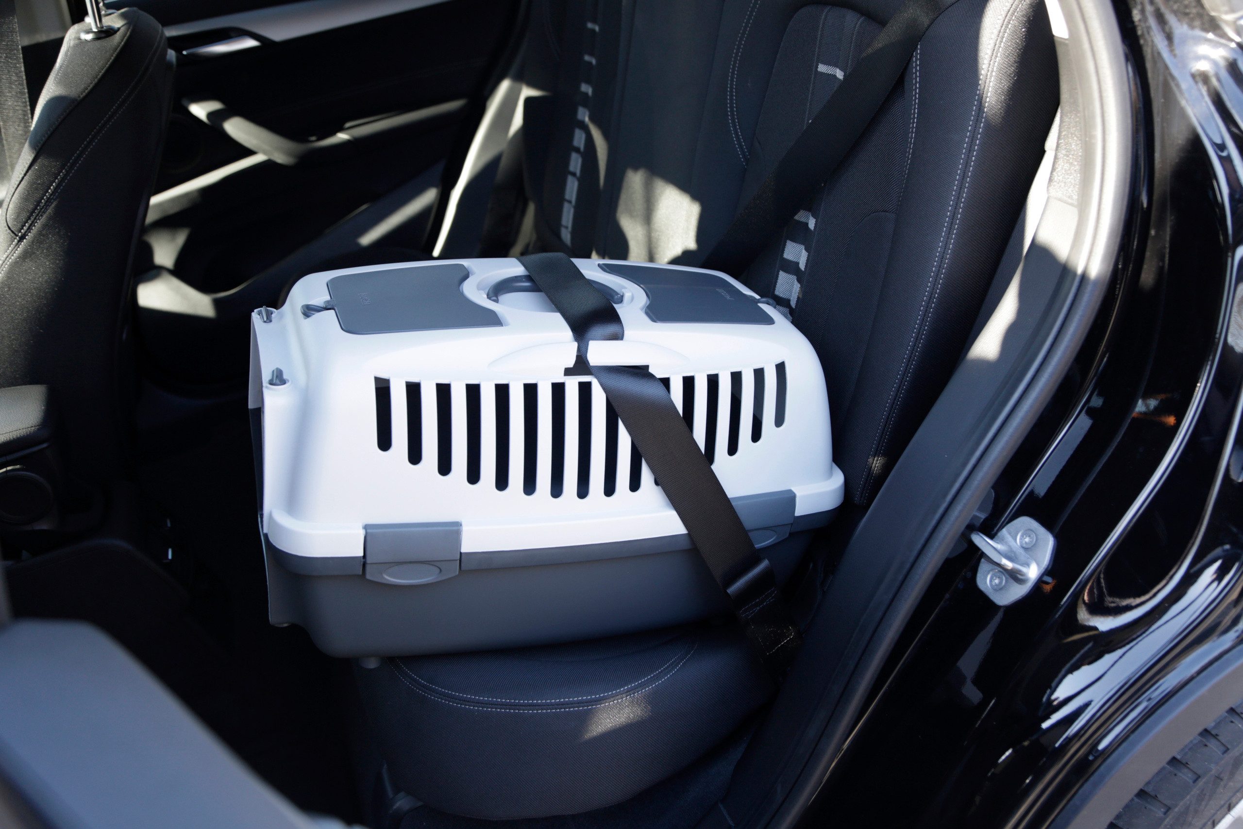Kerbl Tiertransportbox