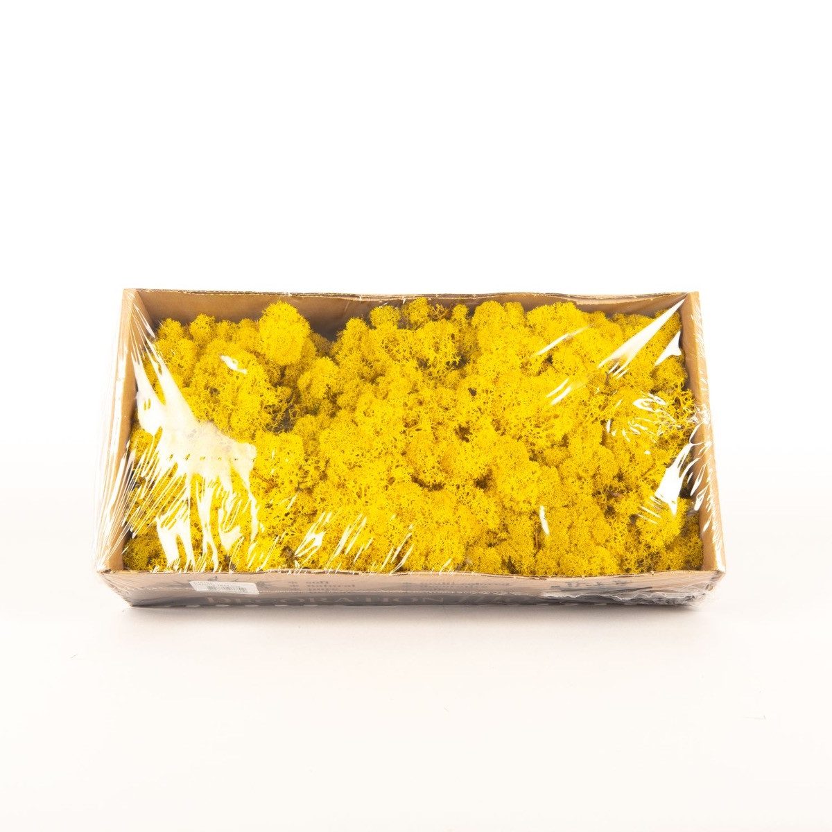 INNA-Glas Moos Dekoratives Moos SVEINBJÖRN, zitronengelb, 500g