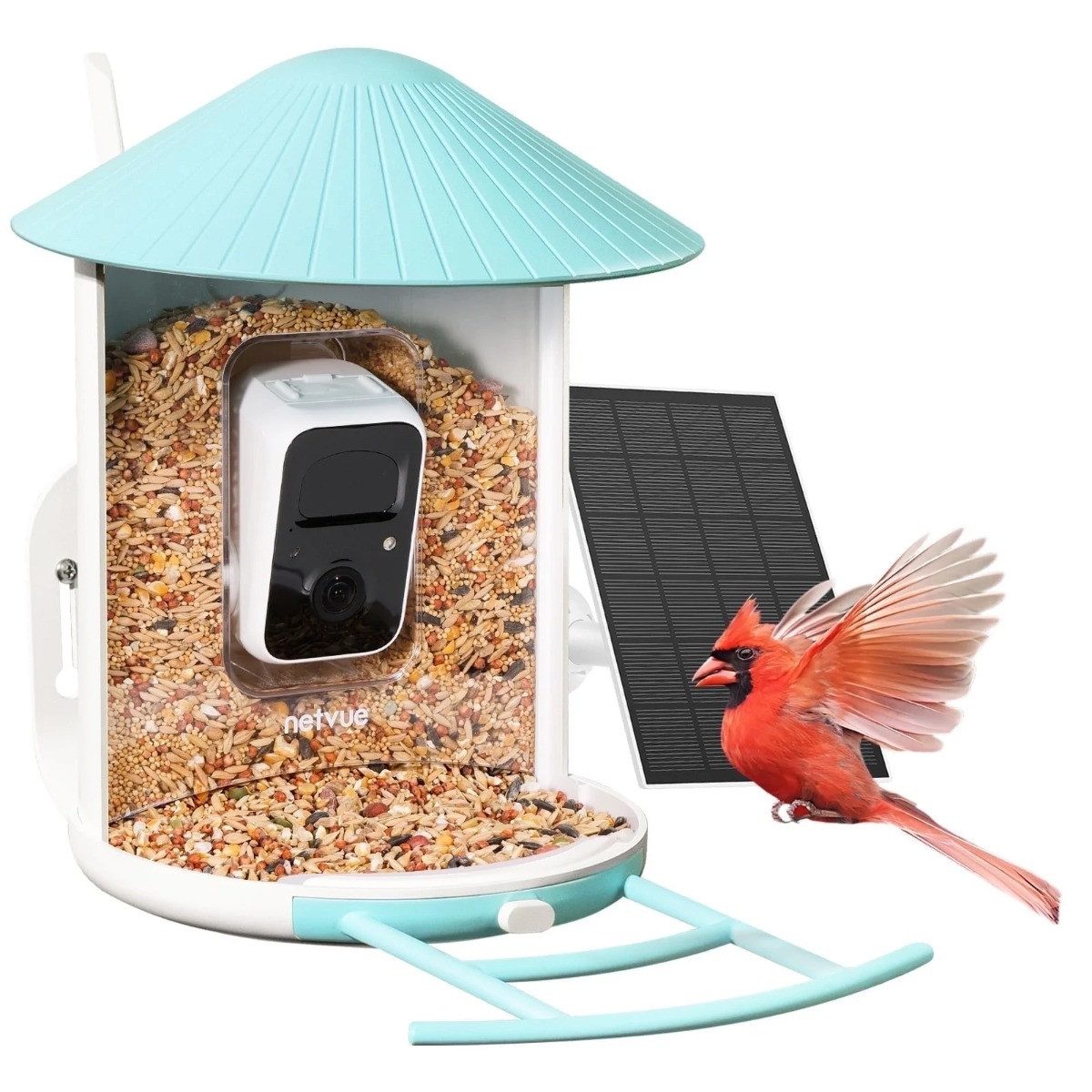 Birdfy Vogelhaus Feeder Pro, mit KI-Kamera und Solarpanel, blau