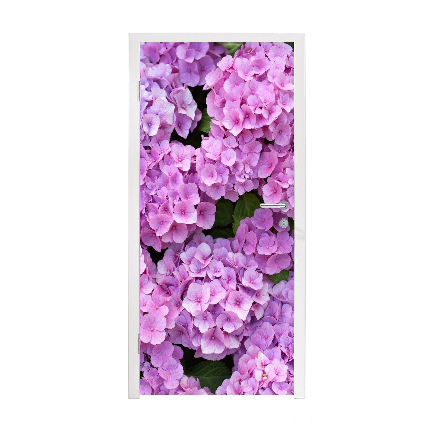 MuchoWow Türtapete Blumen - Hortensie - Strauch - Rosa - Blütenblätter, Matt, bedruckt, (1 St), Fototapete für Tür, Türaufkleber, 75x205 cm