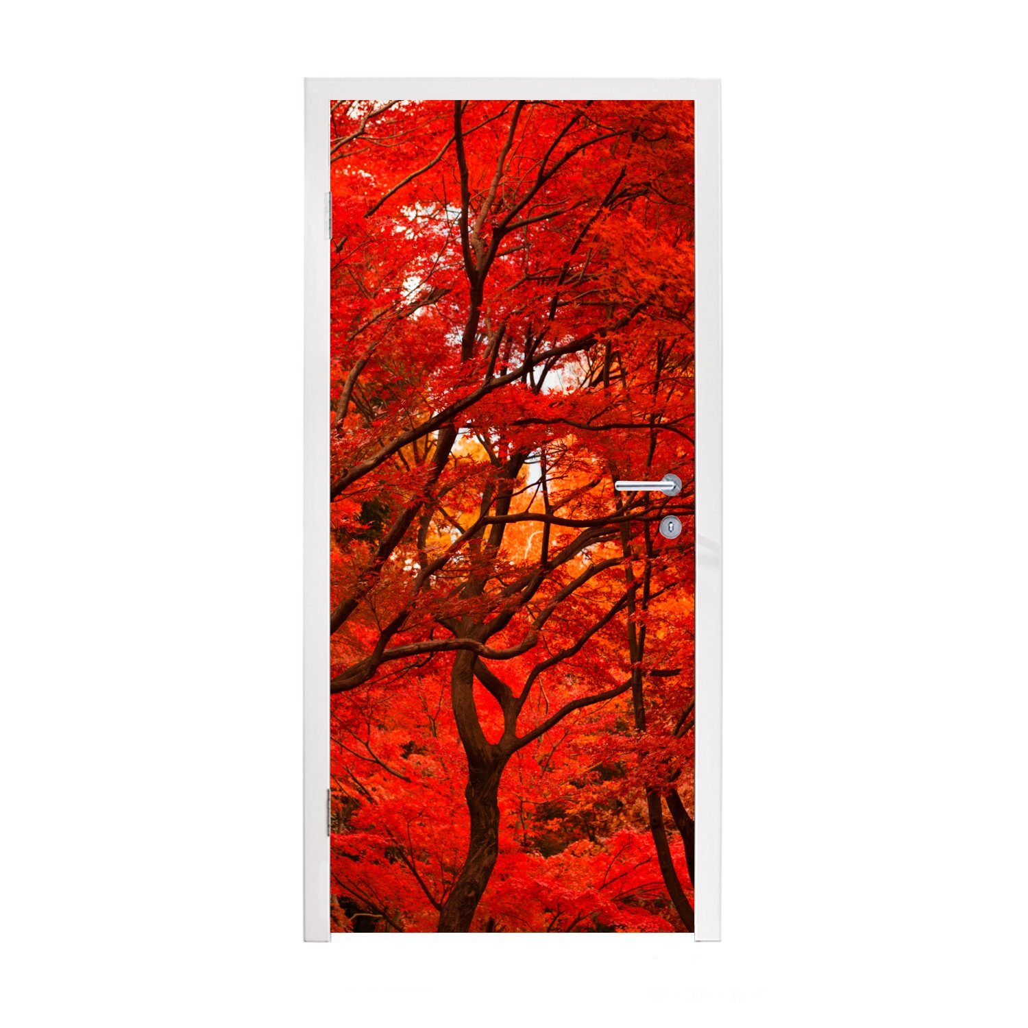 MuchoWow Türtapete Herbst - Wald - Rot, Matt, bedruckt, (1 St), Fototapete für Tür, Türaufkleber, 75x205 cm