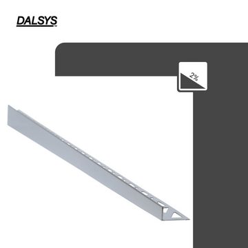 Dalsys Profil (Gefällekeil Dusche, Gefälleprofil 98cm, Höhe 12,5mm, Rechts Silber, 1-St), Duschprofil für begehbare Dusche, Edelstahl korrosionsbeständig