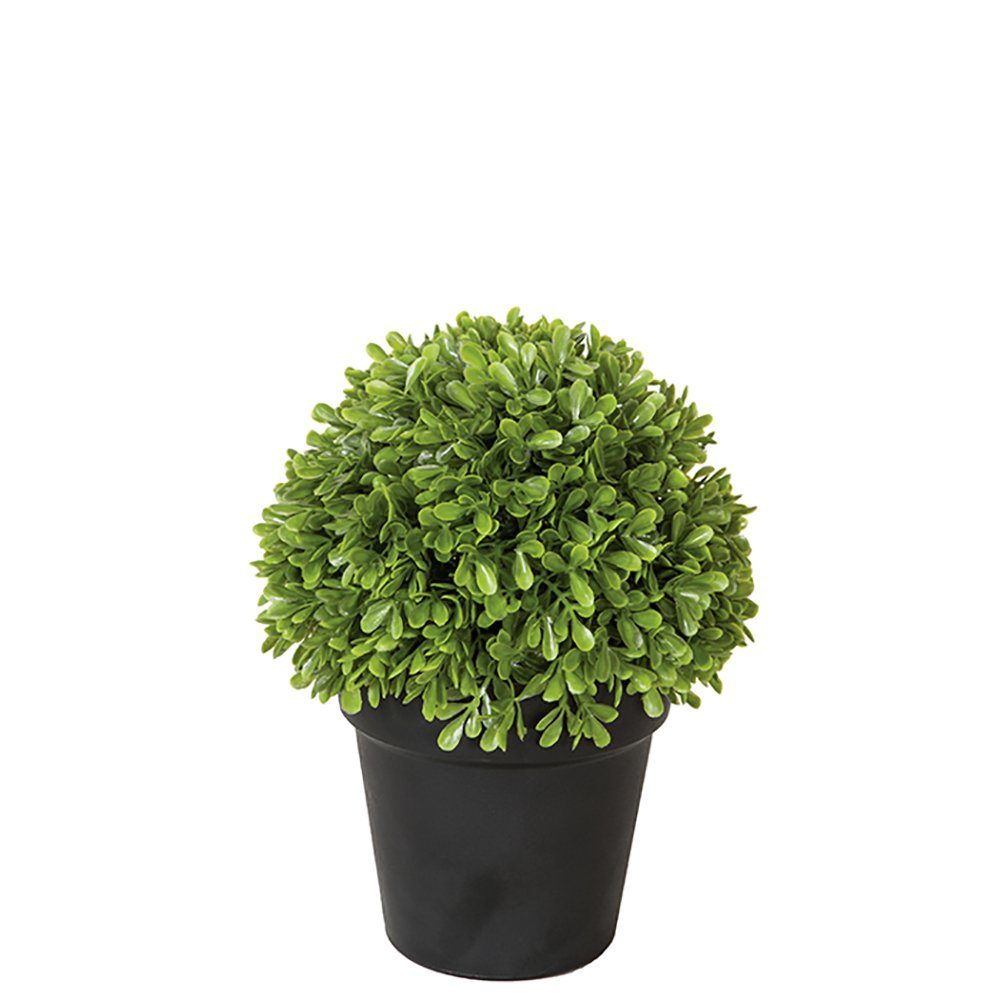 Kunstpflanze Buchsbaum Kugel, getopft, Fink, Höhe 23 cm, 52 cm,  Eigenschaft: getopft, outdoorgeeignet | Kunstbäume