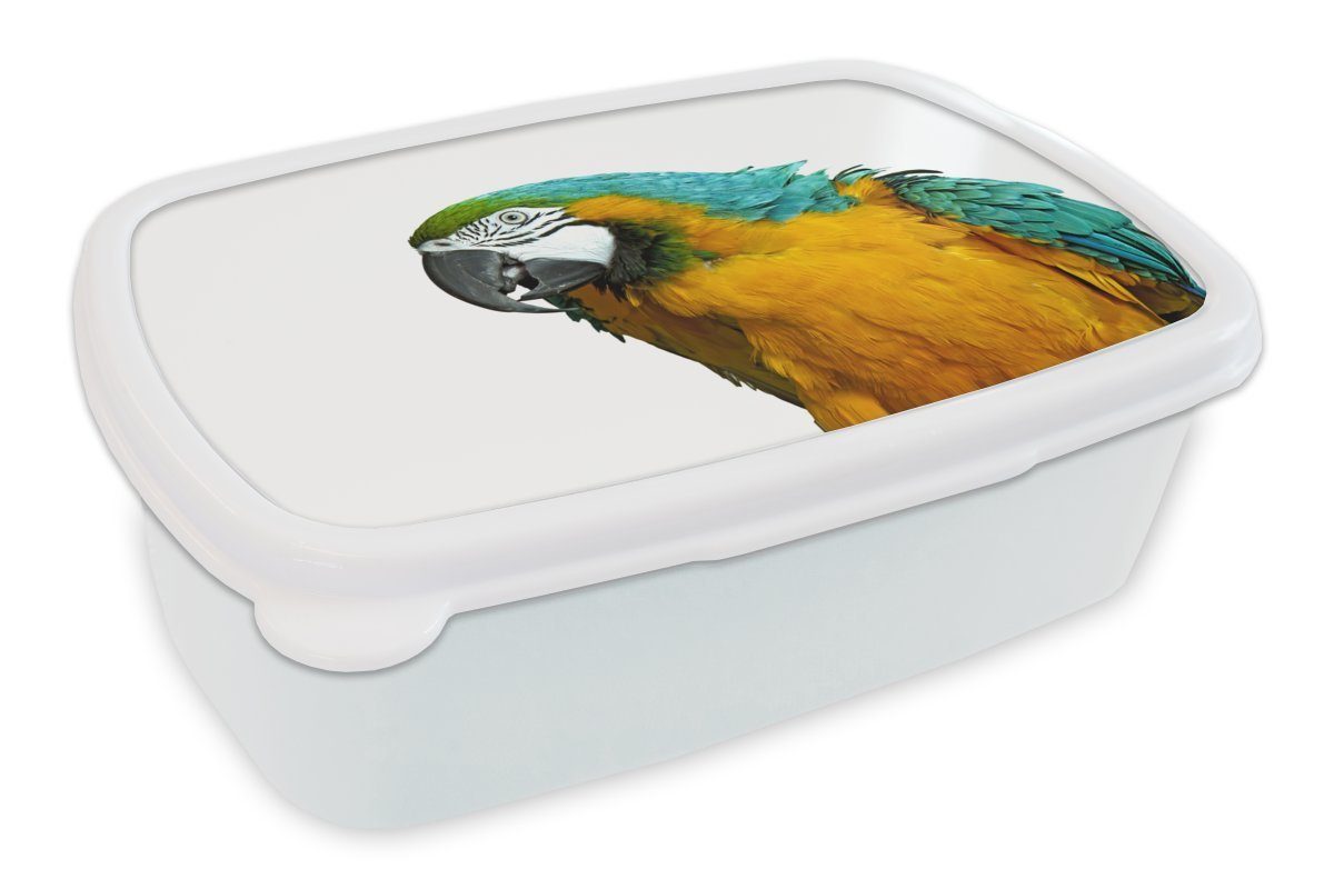 Kunststoff, Federn weiß und Jungs und MuchoWow Erwachsene, Kinder (2-tlg), für - für Brotbox Porträt, Mädchen - Brotdose, Lunchbox - Vogel Papagei