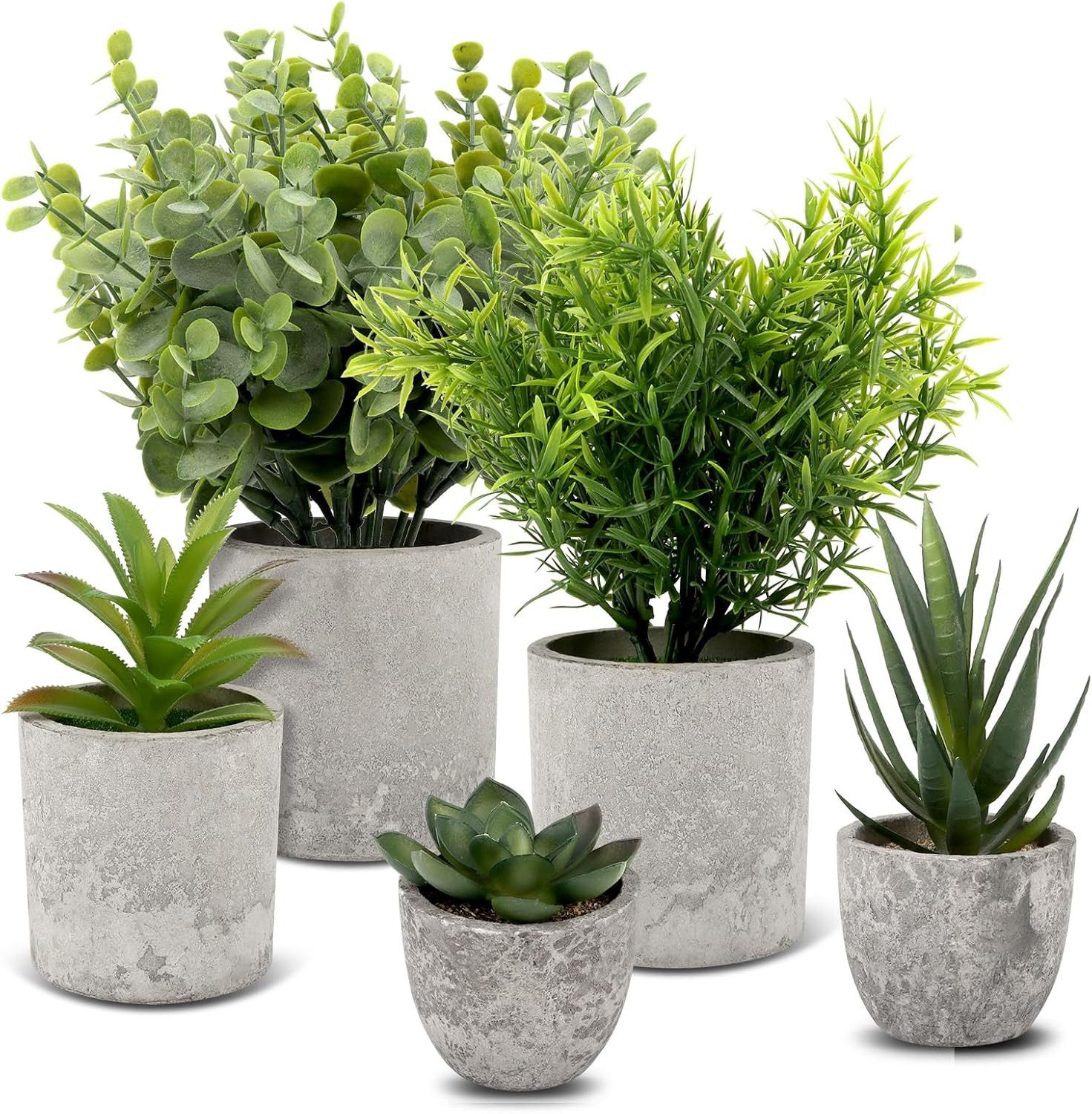 Künstliche Zimmerpflanze 5 Stück Kunstpflanzen wie Echt, Künstliche Pflanze günstig online kaufen