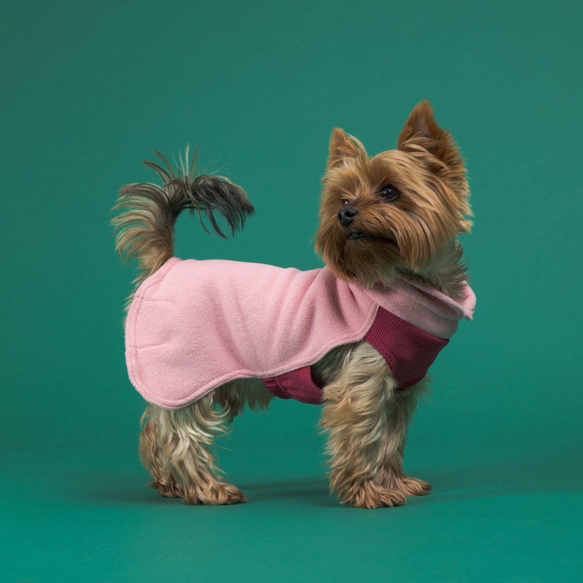 PAIKKA Hundepullover Hunde Pullover "Seawool Shirt" pink