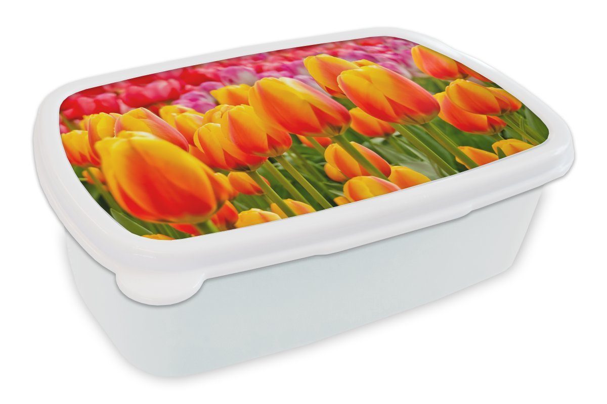 MuchoWow Lunchbox Orangene Tulpen auf dem Keukenhof in den Niederlanden, Kunststoff, (2-tlg), Brotbox für Kinder und Erwachsene, Brotdose, für Jungs und Mädchen weiß
