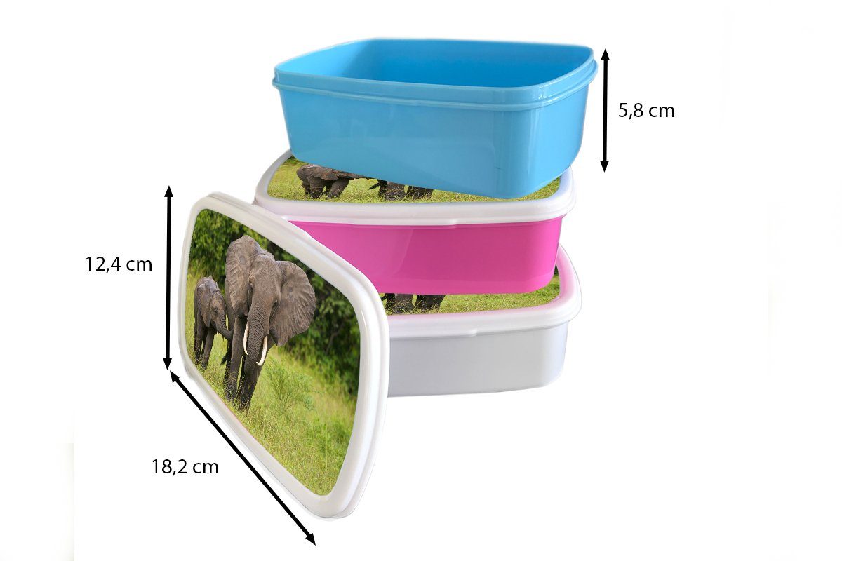 Kunststoff, Erwachsene, rosa Landschaft, Brotdose Kinder, Snackbox, für Mädchen, Brotbox MuchoWow (2-tlg), - Kalb - Elefant Lunchbox Kunststoff