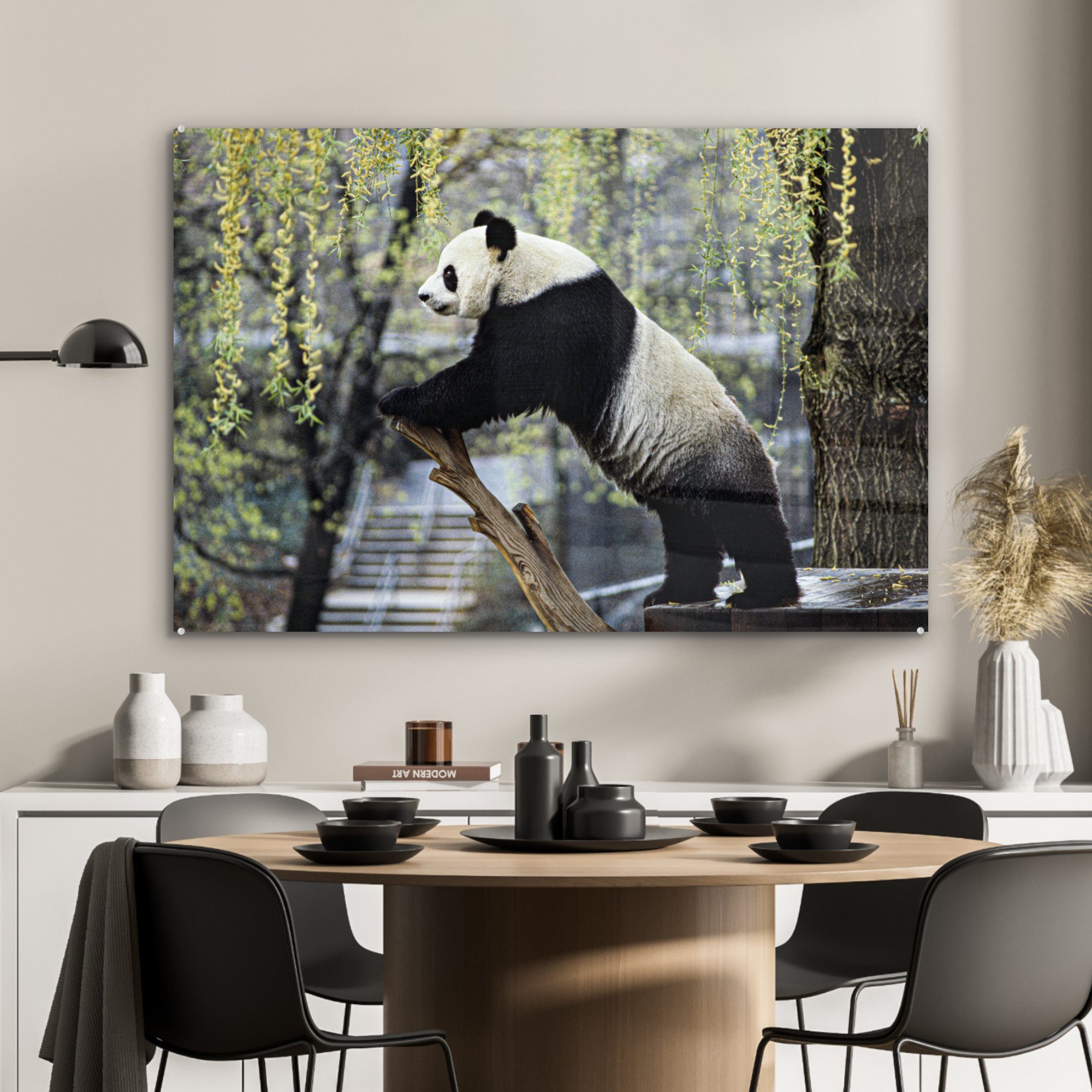 MuchoWow Acrylglasbild Panda Wohnzimmer - (1 Baum, Schlafzimmer Fluss Acrylglasbilder St), & 