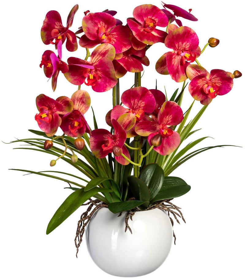 Kunstorchidee »Phalaenopsis« Orchidee Phalaenopsis, Creativ green, Höhe 58 cm, im Keramiktopf