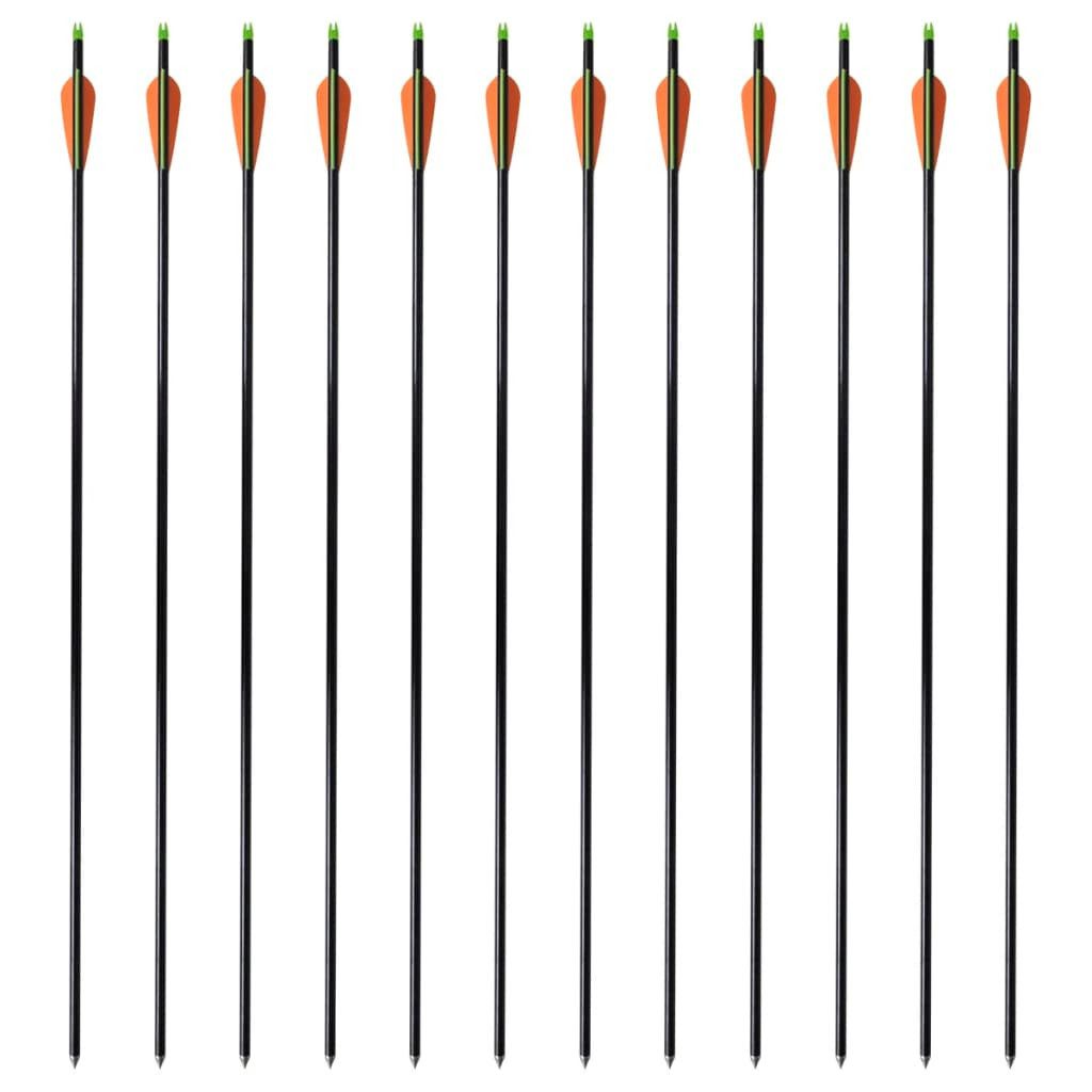 vidaXL Compoundbogen, Compoundbogen-Pfeile 30" 0,8 cm Fiberglas 12 Stk.