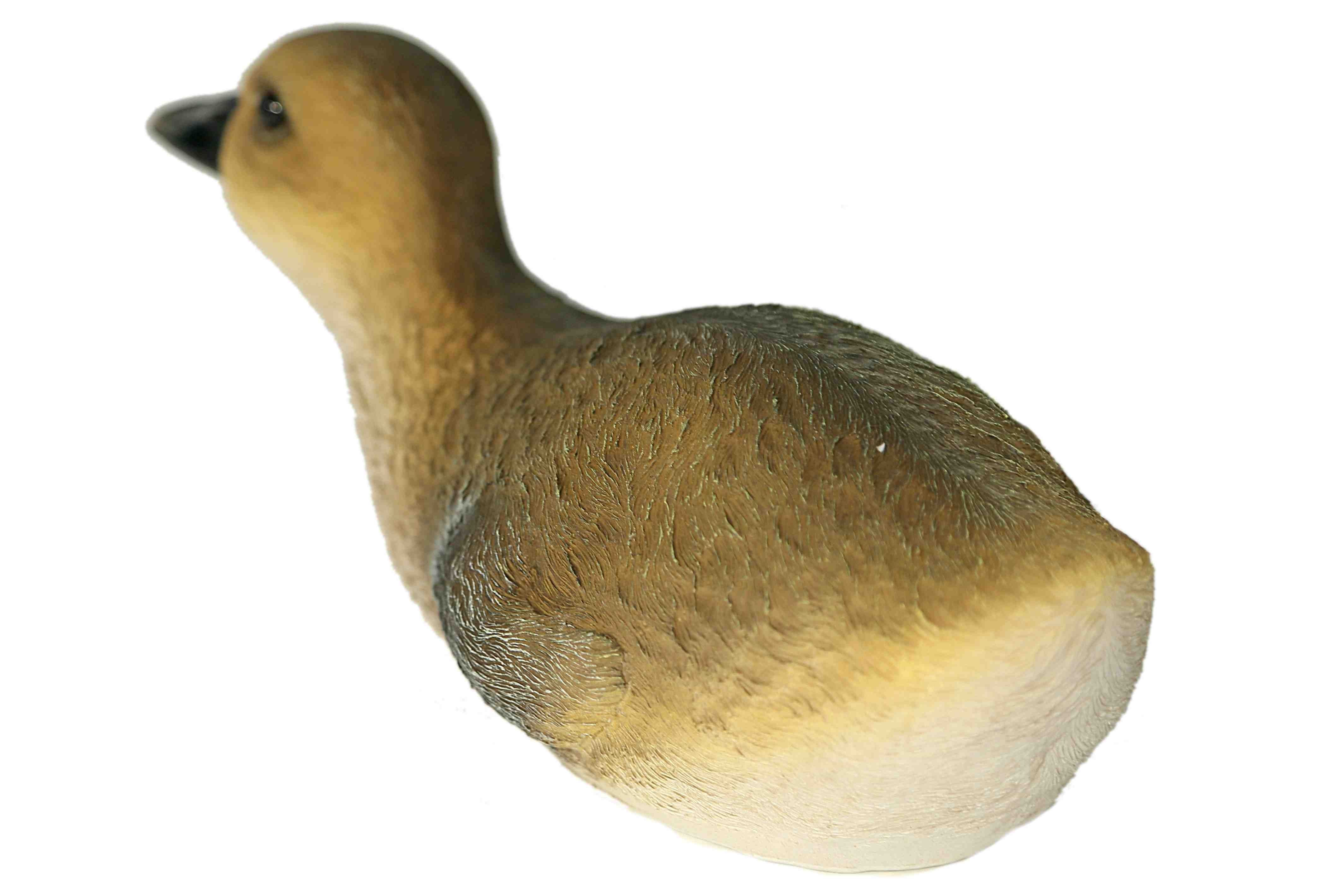 Casa Collection by Jänig Dekofigur Ente schwimmend, Breite ca. 25cm, Tierfigur, Ente, Dekofigur