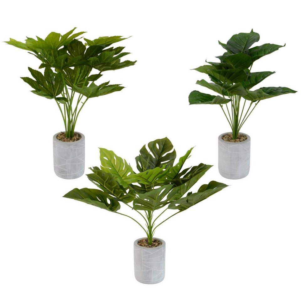 Künstliche Zimmerpflanze 3X künstliche Dekopflanze im Tontopf, INtrenDU,  Höhe 52 cm