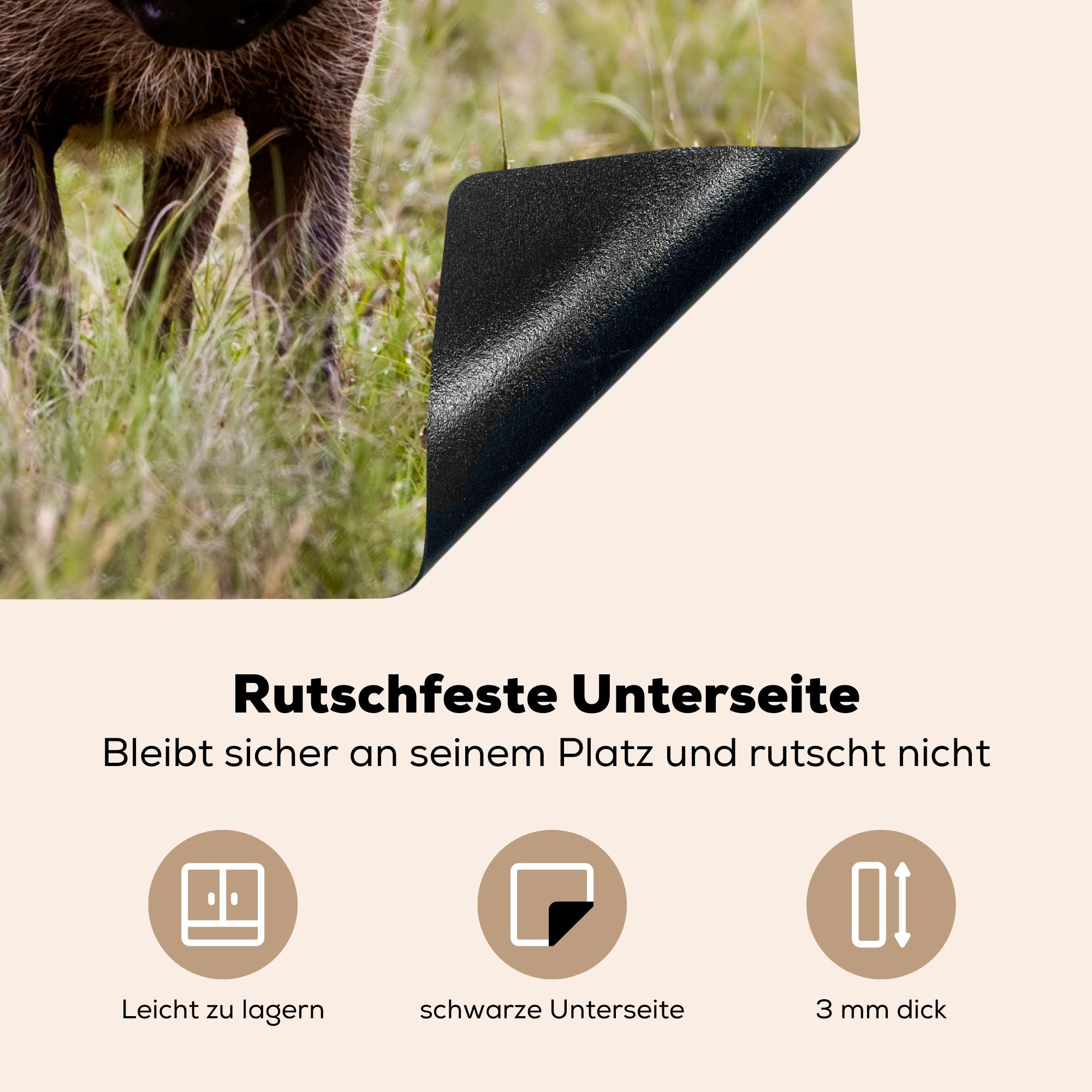 nutzbar, Tier MuchoWow cm, Wildschwein tlg), Arbeitsfläche - Ceranfeldabdeckung Vinyl, 60x52 Mobile Gras, Herdblende-/Abdeckplatte (1 -