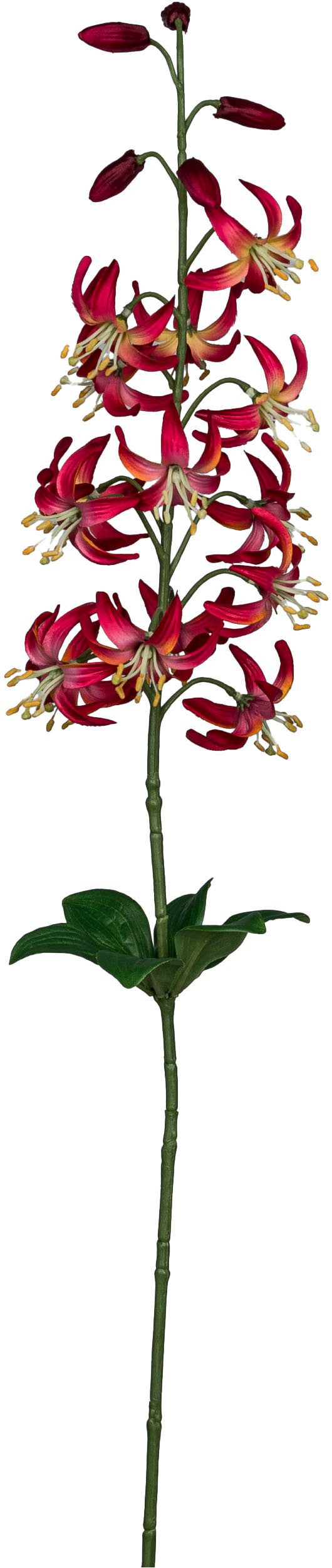 Kunstblume Wildlilienzweig, Creativ green, Höhe 81 cm, mit zauberhaften Blüten