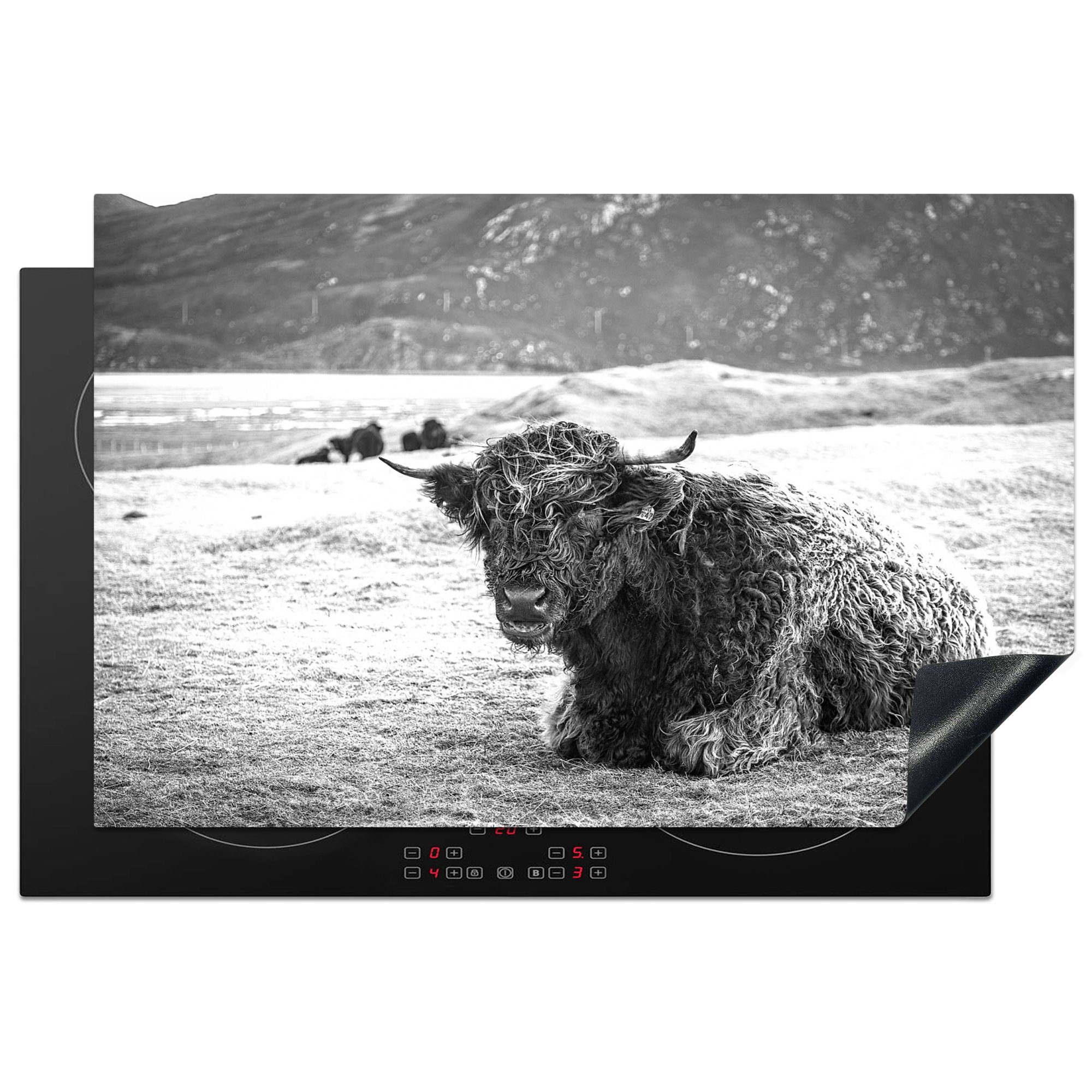 MuchoWow Herdblende-/Abdeckplatte Schottischer Highlander - Berg - Tiere, Vinyl, (1 tlg), 81x52 cm, Induktionskochfeld Schutz für die küche, Ceranfeldabdeckung
