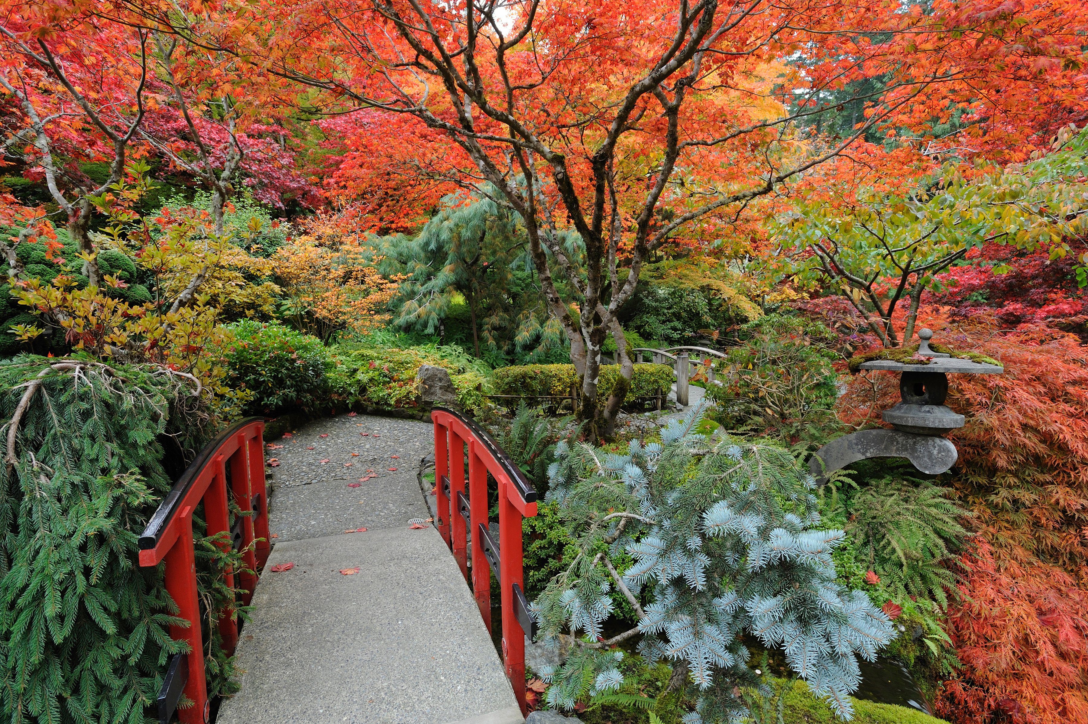 Papermoon Fototapete JAPANISCHER GARTEN HERBST