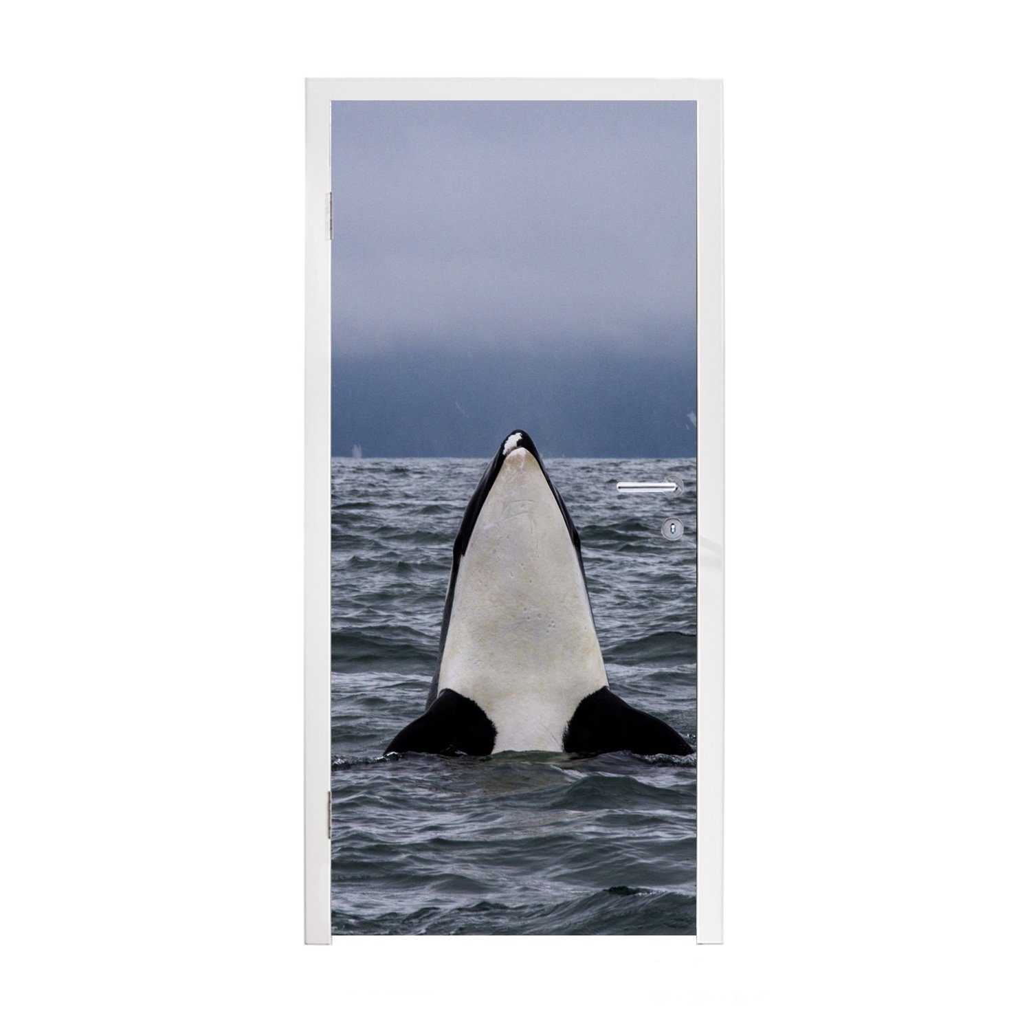 MuchoWow Türtapete Orca über Wasser, Matt, bedruckt, (1 St), Fototapete für Tür, Türaufkleber, 75x205 cm