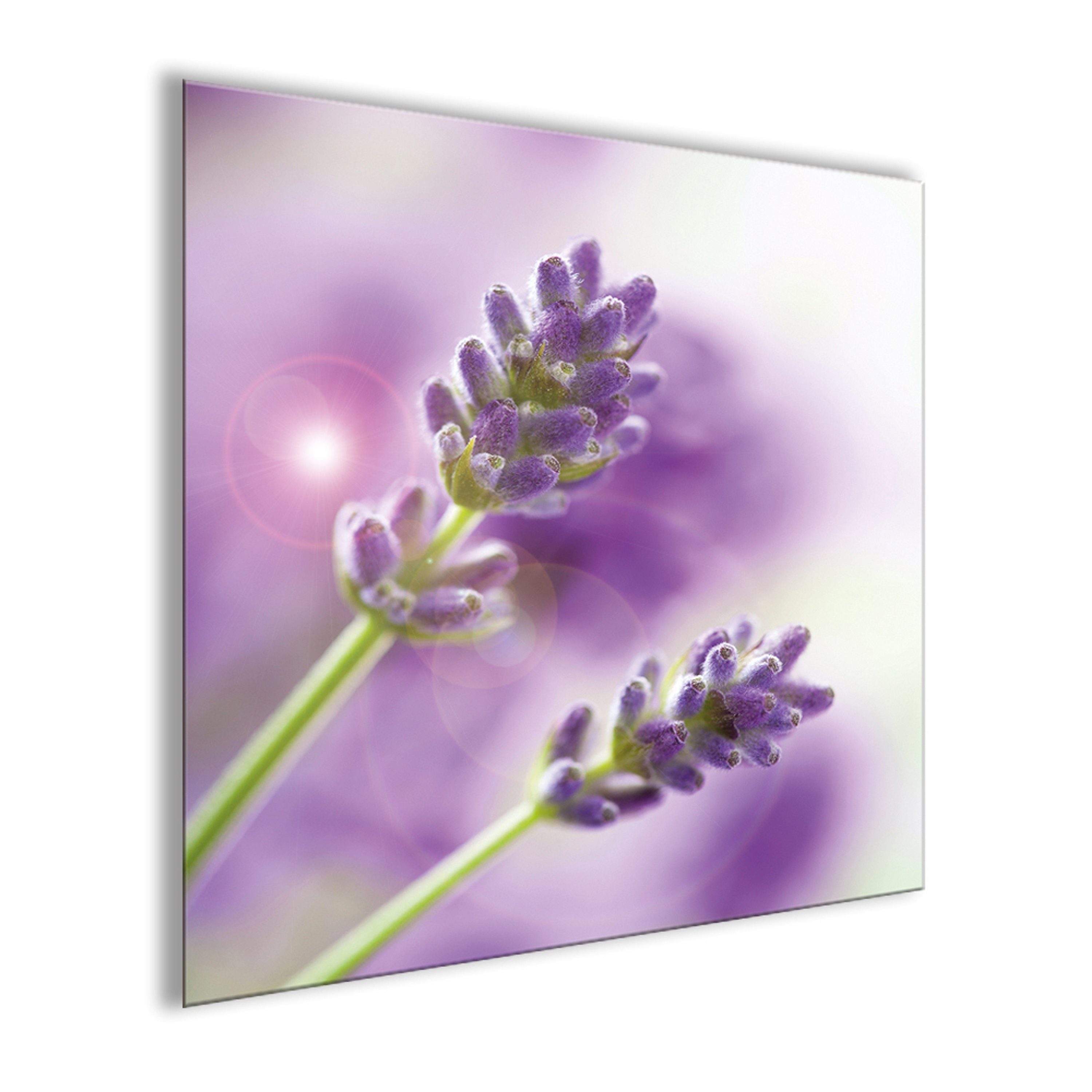 Bild Lavendel Blume: Glasbild 30x30cm Flieder Glasbild Blumen artissimo Lila lila, Lavendel