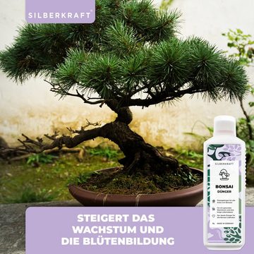 Silberkraft Pflanzendünger Bonsai Dünger für alle Arten von Bonsais, 1-St.