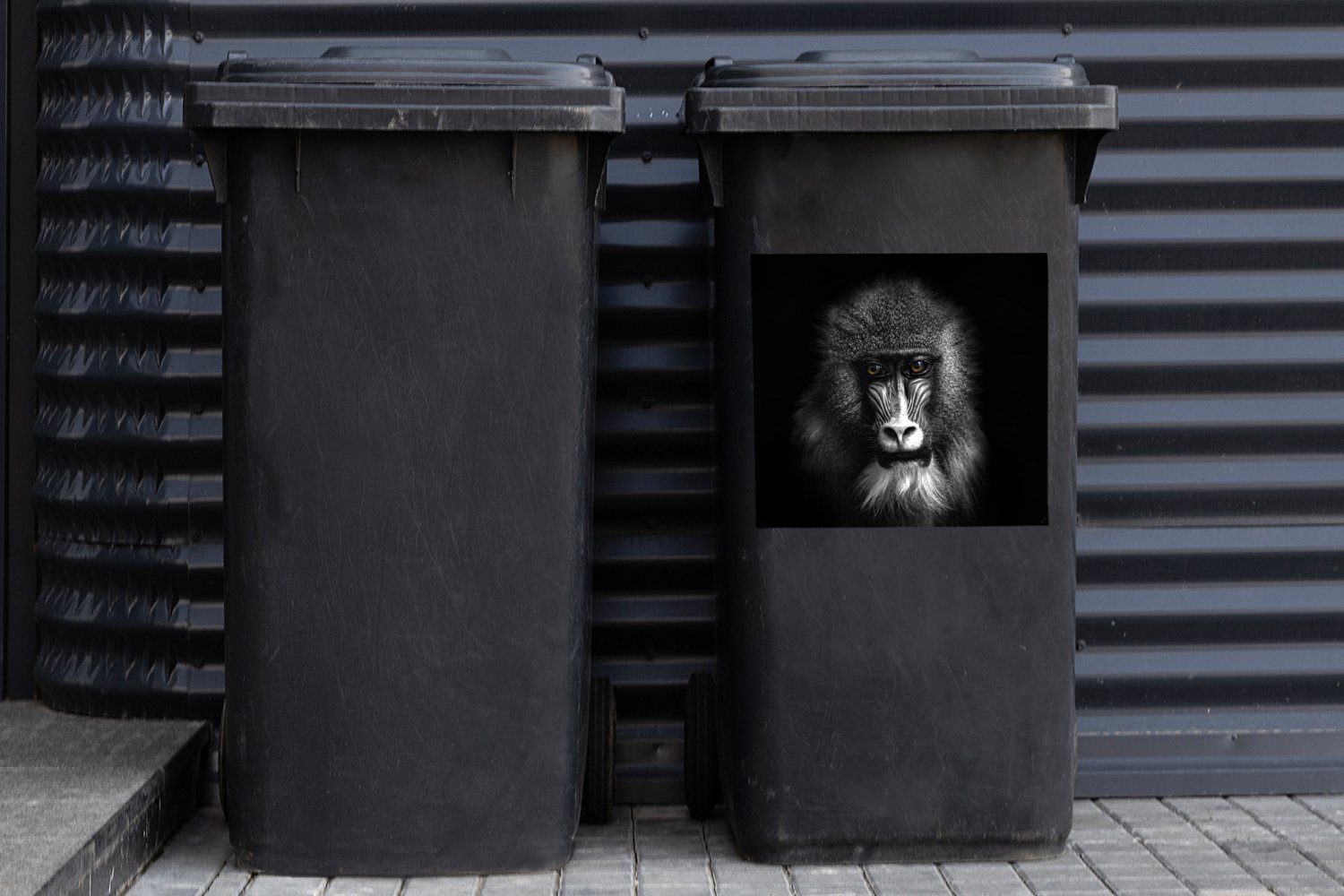 Braun Abfalbehälter (1 Container, Augen MuchoWow Wandsticker und Affe - Mülltonne, - Sticker, Mülleimer-aufkleber, - Tiere Schwarz - weiß St),