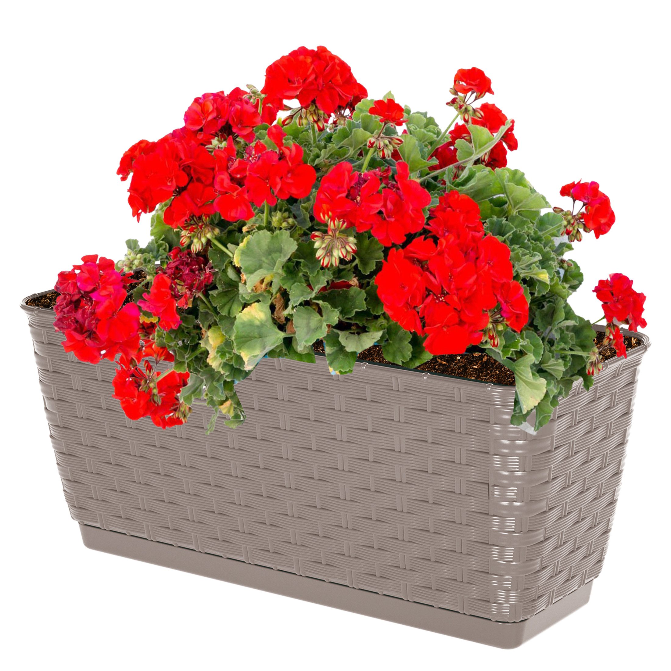 Annastore Blumenkasten Balkonkasten aus wetterfestem Kunststoff - Blumenkästen - Balkonkästen