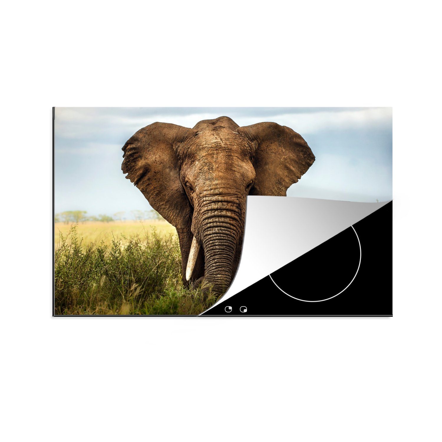 MuchoWow Herdblende-/Abdeckplatte Elefant - Gras - Tiere - Natur, Vinyl, (1 tlg), 81x52 cm, Induktionskochfeld Schutz für die küche, Ceranfeldabdeckung