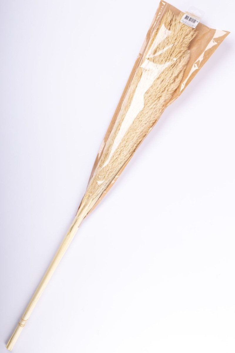 Trockenblume Schilfgras Rispen Bund Eleonora, getrocknet, Gebleicht, 115 cm, artplants, Höhe 115.0 cm