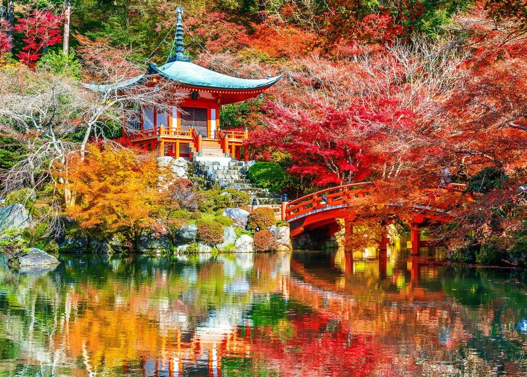 Bluebird Puzzle Puzzle Temple Daigo-ji en Automne, Kyoto, Puzzleteile