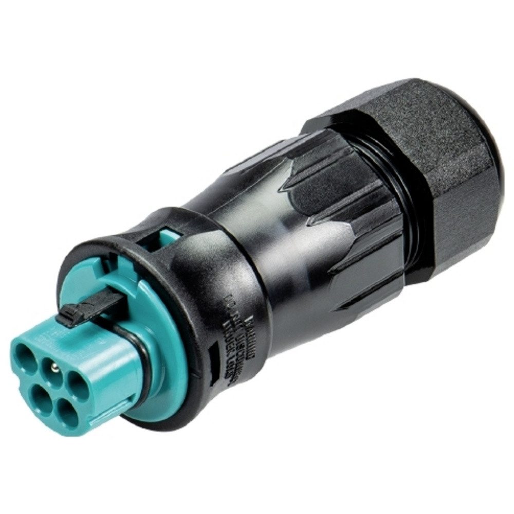 Wieland Electric Wieland Electric 96.052.4553.6 Steckverbinder Installationskabel