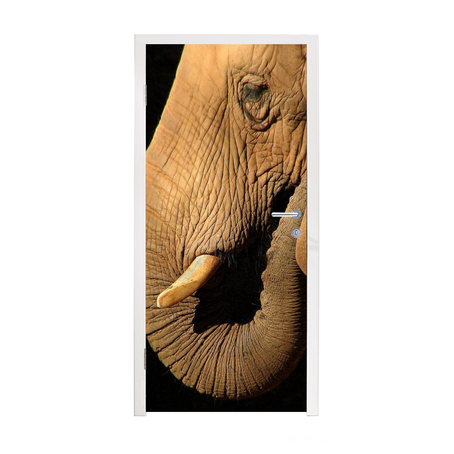 (1 Nahaufnahme Fototapete Tiere - Tür, Schwarz, 75x205 Türaufkleber, - Türtapete cm St), bedruckt, Matt, MuchoWow für - Elefant