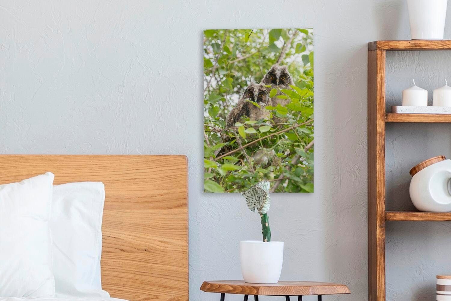 20x30 cm Zwei Leinwandbild Bäumen, den (1 sitzen fertig OneMillionCanvasses® inkl. zwischen Zackenaufhänger, St), Leinwandbild bespannt Gemälde, Waldohreulen