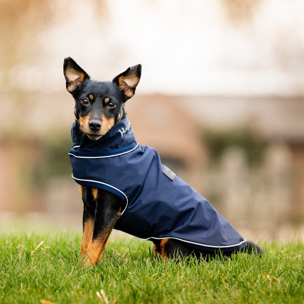 Horseware Hundemantel Horseware Signature Dog Rain Coat Hundemantel