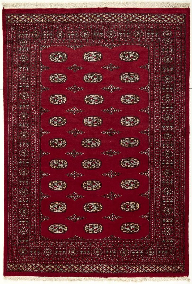 Orientteppich Pakistan Buchara 2ply 171x248 Handgeknüpfter Orientteppich, Nain Trading, rechteckig, Höhe: 8 mm