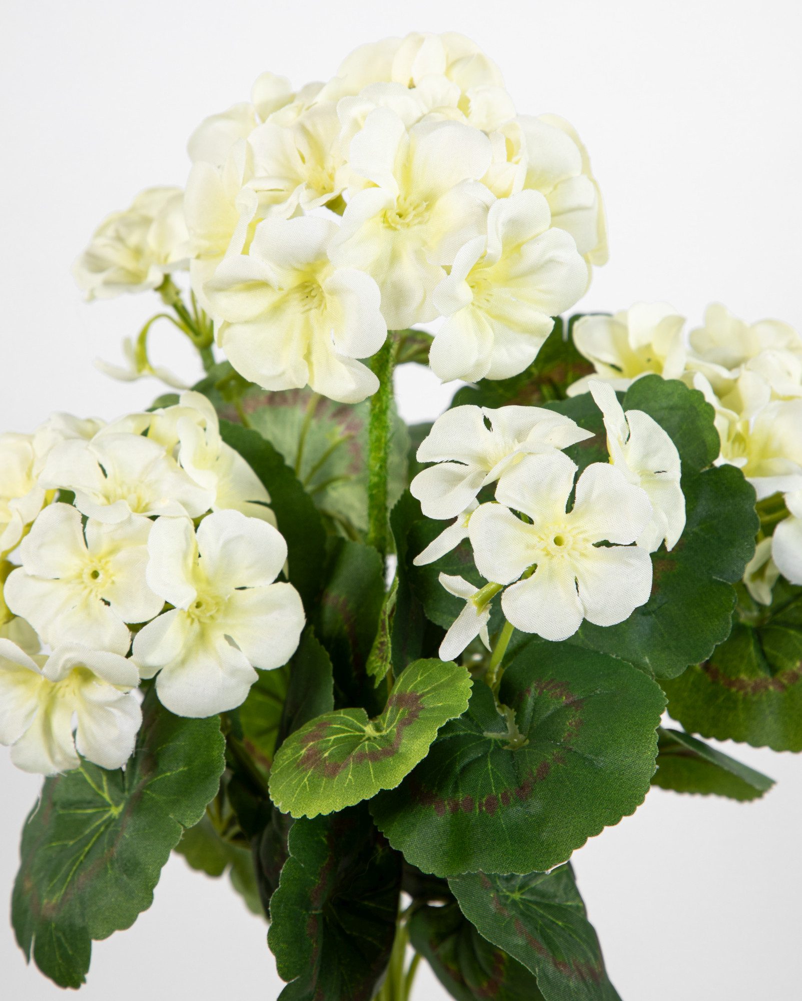 Kunstblume Geranie 32cm LM Kunstpflanzen künstliche Blumen Pflanzen Pelargonium, Seidenblumen Roß, Höhe 32 cm, Weiß – Bild 3 von 4