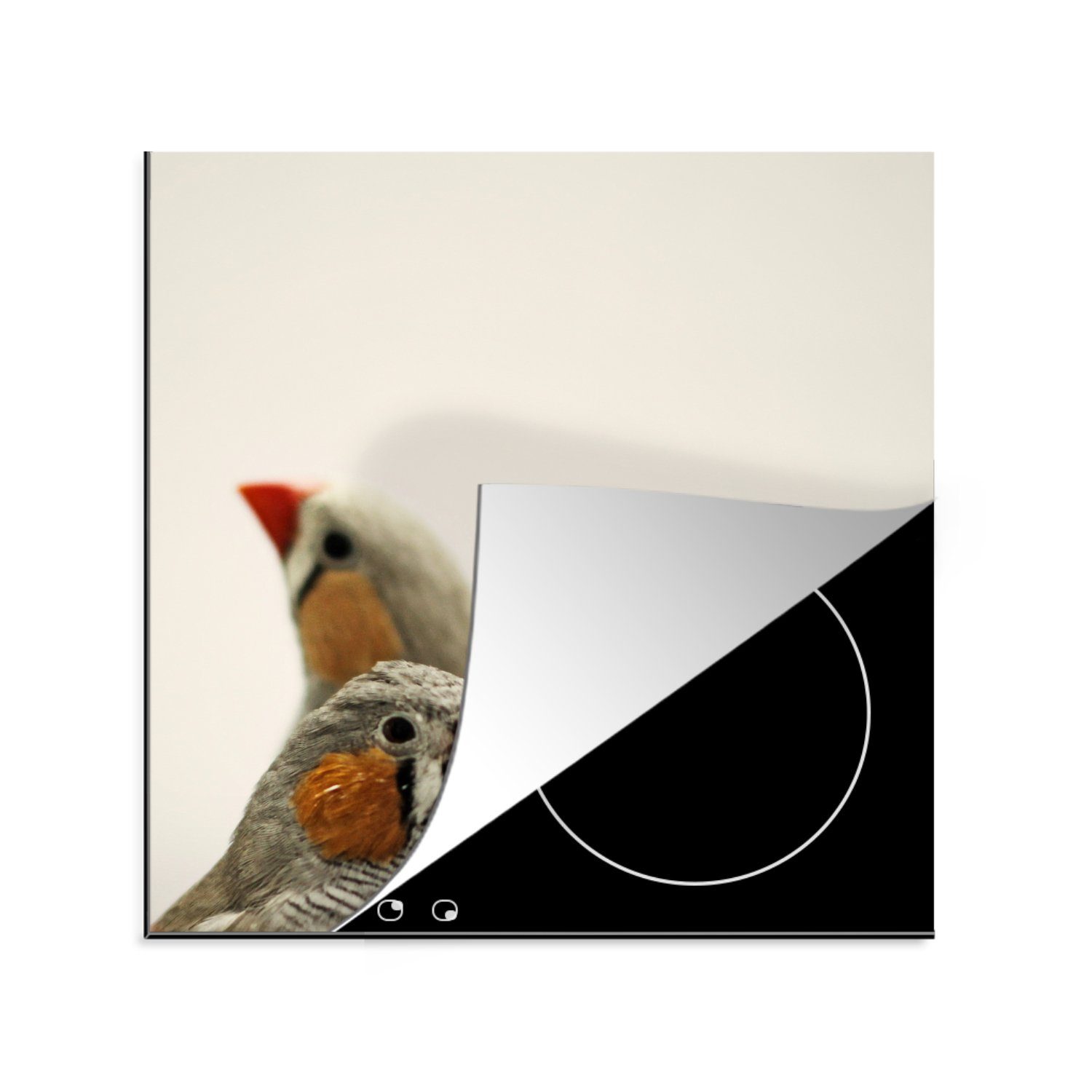 MuchoWow Herdblende-/Abdeckplatte Ein Paar Zebrafinken auf weißem Hintergrund, Vinyl, (1 tlg), 78x78 cm, Ceranfeldabdeckung, Arbeitsplatte für küche