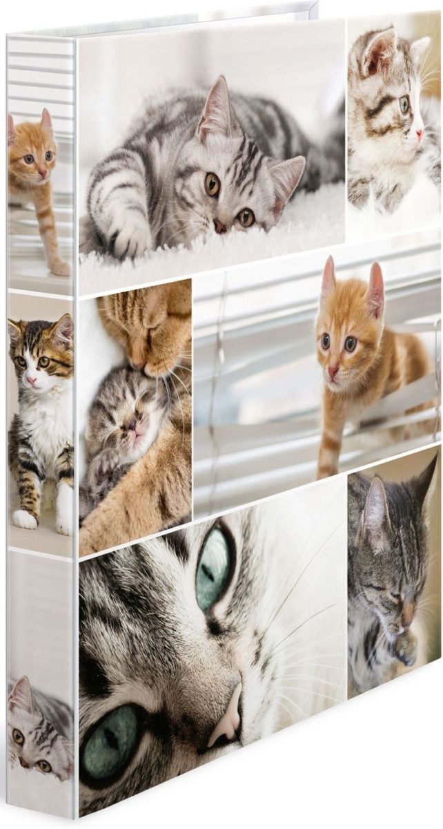 HERMA Präsentationsordner Ringbuch A4 Karton 4 Ringe Katzen
