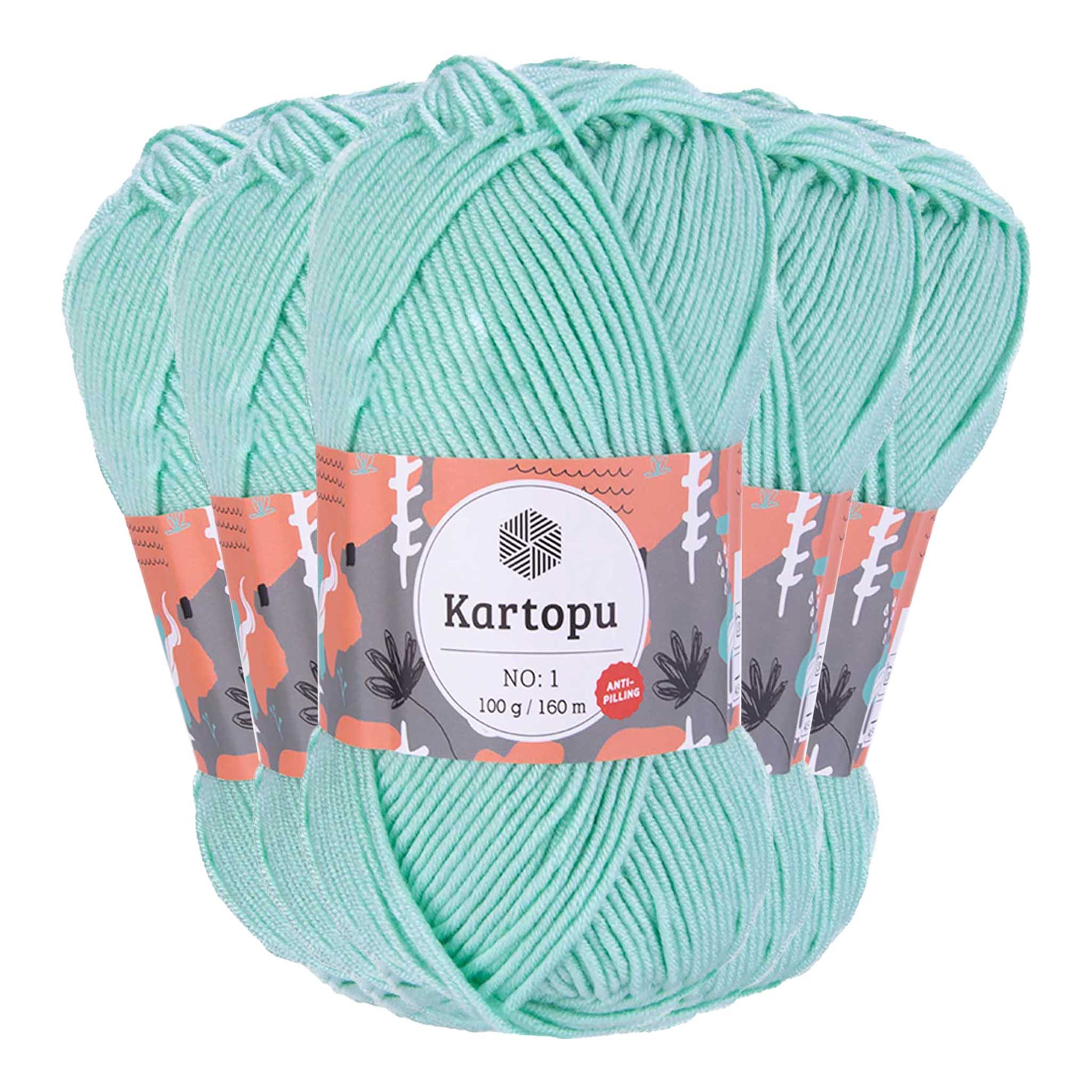 maDDma 5 x 100g Strickwolle Kartopu NO:1 Polyacryl-Wolle Anti Pilling Effekt Häkelwolle, 800 m (Sparpaket), K507 mintgrün